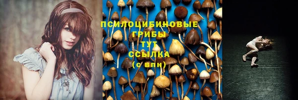 меф Корсаков